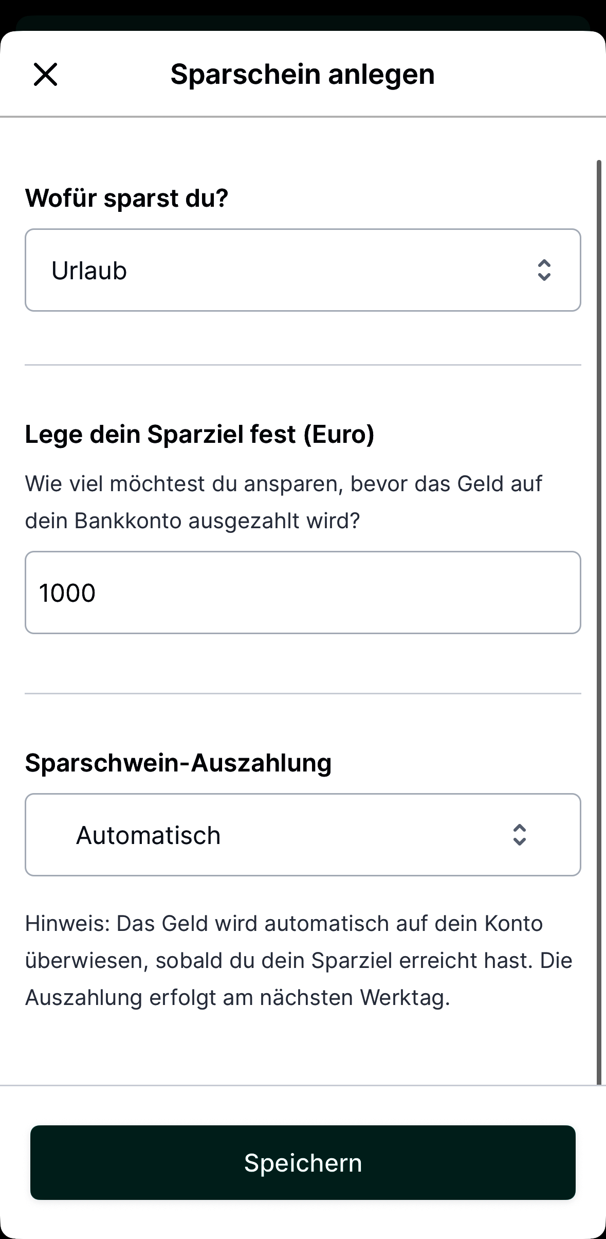 PhorestTips Sparschwein Details.png