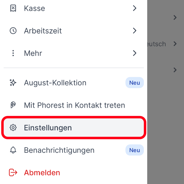 PGo Einstellungen.png